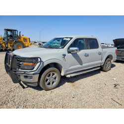 2024 FORD All Models 1FTEW3K59RKF06636 41606776