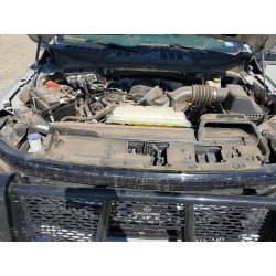 2024 FORD All Models 1FTEW3K59RKF06636 41606776