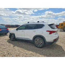 2022 HYUNDAI SANTA FE 5NMS4DAL4NH467037 50445446