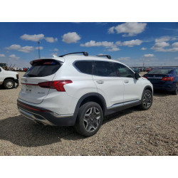 2022 HYUNDAI SANTA FE 5NMS4DAL4NH467037 50445446