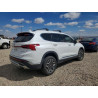 2022 HYUNDAI SANTA FE 5NMS4DAL4NH467037 50445446