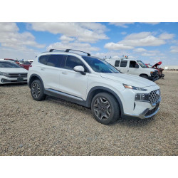 2022 HYUNDAI SANTA FE 5NMS4DAL4NH467037 50445446