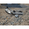 2025 HONDA ACCORD 1HGCY1F40SA026280 52777076
