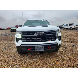 2025 CHEVROLET SILVERADO 3GCPKFEK7SG284604 54851246