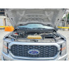 2023 FORD F150 1FTFW1E50PKF96521 52756616