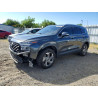 2023 HYUNDAI SANTA FE 5NMS2DAJ3PH514663 51233356