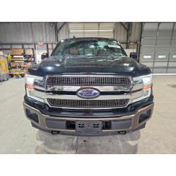 2020 FORD F-150 1FTEW1E4XLFC48604 52098226
