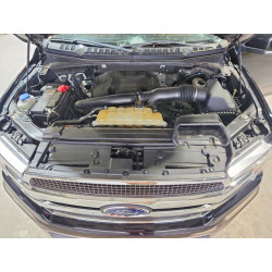 2020 FORD F-150 1FTEW1E4XLFC48604 52098226