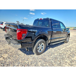 2024 FORD F150 1FTFW3LD5RFA33496 53293596