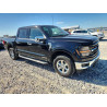 2024 FORD F150 1FTFW3LD5RFA33496 53293596