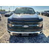 2024 FORD F150 1FTFW3LD5RFA33496 53293596