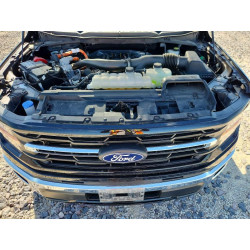 2024 FORD F150 1FTFW3LD5RFA33496 53293596