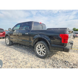 2020 FORD F-150 1FTEW1EG9LFB19893 53443566
