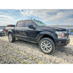 2020 FORD F-150 1FTEW1EG9LFB19893 53443566