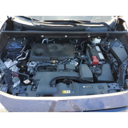 2024 TOYOTA RAV4 2T3W1RFV7RW348305 57625366