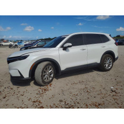 2023 HONDA CRV 7FARS3H76PE001013 54261006