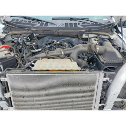 2025 FORD F150 STX 1FTEW2KP1SKD14273 55008236