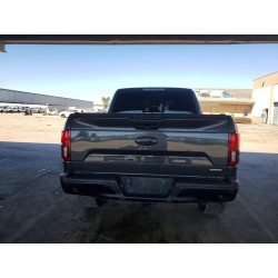 2020 FORD F-150 1FTEW1EP2LFA40663 57258496