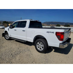 2025 FORD All Models 1FTFW3LD6SFB92209 53290056