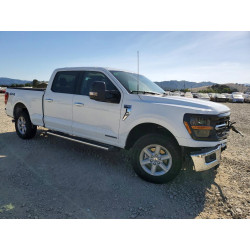 2025 FORD All Models 1FTFW3LD6SFB92209 53290056