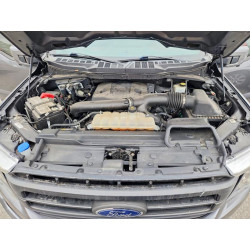 2021 FORD F-150 1FTFW1E89MFA38424 57645126