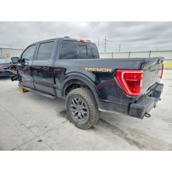 2023 FORD All Models 1FTEW1E87PFB86247 53016986