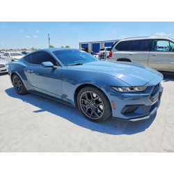 2024 FORD ALL Models 1FA6P8TH3R5112660 53362766