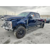 2024 FORD F250 1FT8W2BT0REC44400 53665656