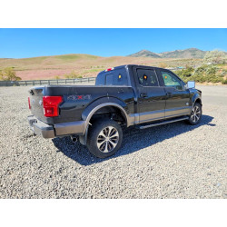 2020 FORD F-150 1FTEW1E56LKD83675 53615346