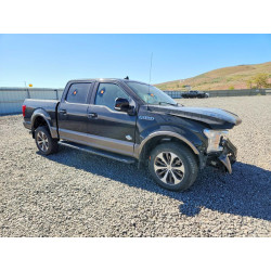 2020 FORD F-150 1FTEW1E56LKD83675 53615346