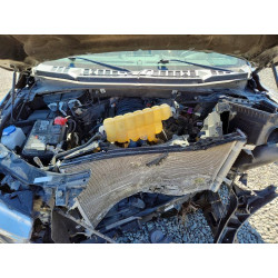 2020 FORD F-150 1FTEW1E56LKD83675 53615346