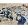 2021 FORD All Models 1FTMF1EB2MKF06584 55919356