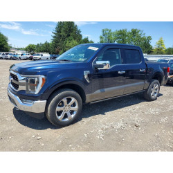 2022 FORD F-150 1FTFW1E81NFB98217 57038446