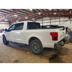 2020 FORD F-150 1FTEW1EP1LFB44769 51633226