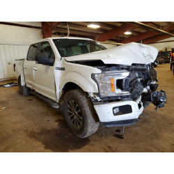 2020 FORD F-150 1FTEW1EP1LFB44769 51633226
