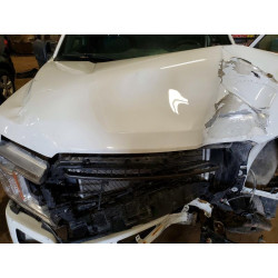 2020 FORD F-150 1FTEW1EP1LFB44769 51633226