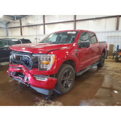 2021 FORD F-150 1FTFW1ED2MFC32810 53880176