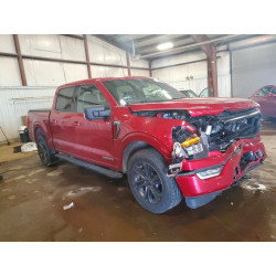 2021 FORD F-150 1FTFW1ED2MFC32810 53880176