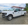 2021 FORD F-150 1FTEX1C51MKD26981 50505926