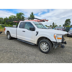 2021 FORD F-150 1FTEX1C51MKD26981 50505926