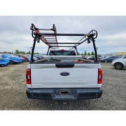 2021 FORD F-150 1FTEX1C51MKD26981 50505926