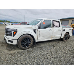 2025 FORD F150 LARIA 1FTFW5L56SFB37778 56070936