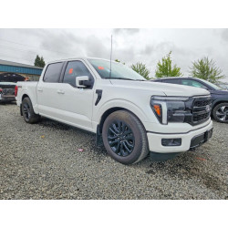 2025 FORD F150 LARIA 1FTFW5L56SFB37778 56070936
