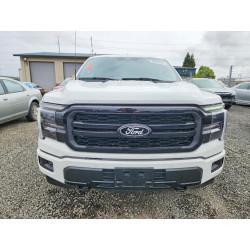2025 FORD F150 LARIA 1FTFW5L56SFB37778 56070936