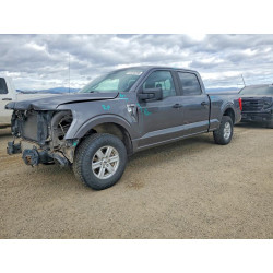 2021 FORD F-150 1FTFW1E86MFA39644 47818296
