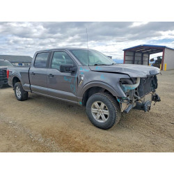 2021 FORD F-150 1FTFW1E86MFA39644 47818296