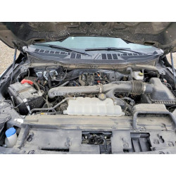 2025 FORD All Models 1FTFW3L80SKE52694 56591976
