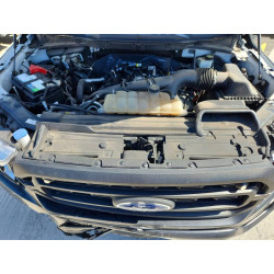 2022 FORD F-150 1FTEX1CP6NKD93398 53604916