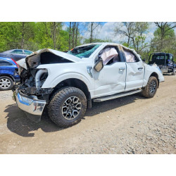 2023 FORD F-150 1FTEW1EP4PFA22820 51918886