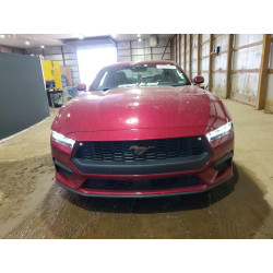2025 FORD ALL Models 1FA6P8TH4S5102855 52254806